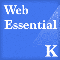 Web Essential WordPress Website Support