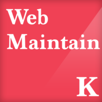 Web Maintain WordPress Website Support